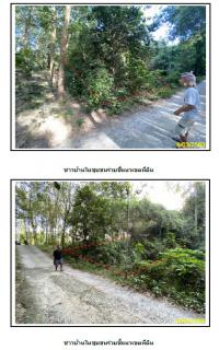 https://xn--www-pkl4a5c5d8af2h9bbc3a67a.ohoproperty.com/1401/ธนาคารกรุงไทย/ขายที่ดินเปล่า/หน้าเมือง/เกาะสมุย/สุราษฎร์ธานี/
