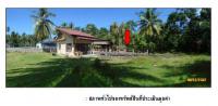 https://xn--www-pkl4a5c5d8af2h9bbc3a67a.ohoproperty.com/1394/ธนาคารกรุงไทย/ขายที่ดินพร้อมสิ่งปลูกสร้าง/ตลิ่งงาม/เกาะสมุย/สุราษฎร์ธานี/