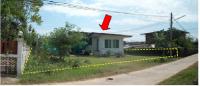 https://xn--www-pkl4a5c5d8af2h9bbc3a67a.ohoproperty.com/2714/ธนาคารกรุงไทย/ขายบ้านเดี่ยว/รอบเมือง/เมืองร้อยเอ็ด/ร้อยเอ็ด/