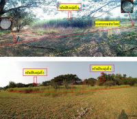 https://xn--www-pkl4a5c5d8af2h9bbc3a67a.ohoproperty.com/1837/ธนาคารกรุงไทย/ขายที่ดินเปล่า/ดอนกระเบื้อง/โพธาราม/ราชบุรี/