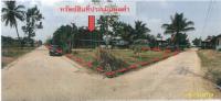 ที่ดินพร้อมสิ่งปลูกสร้างหลุดจำนอง ธ.ธนาคารกรุงไทย เมืองจันทร์ เมืองจันทร์ ศรีสะเกษ