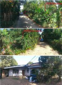 ที่ดินพร้อมสิ่งปลูกสร้างหลุดจำนอง ธ.ธนาคารกรุงไทย ศรีดงเย็น ไชยปราการ เชียงใหม่