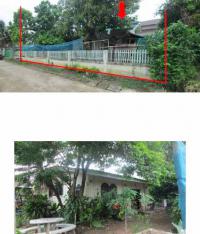 บ้านเดี่ยวหลุดจำนอง ธ.ธนาคารกรุงไทย ศรีดงเย็น ไชยปราการ เชียงใหม่
