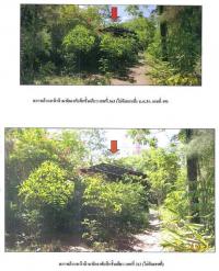 https://xn--www-pkl4a5c5d8af2h9bbc3a67a.ohoproperty.com/65420/ธนาคารกรุงไทย/ขายที่ดินพร้อมสิ่งปลูกสร้าง/ท่าทอง/กาญจนดิษฐ์/สุราษฎร์ธานี/