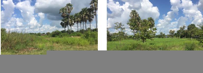 โพธิ์ เมืองศรีสะเกษ ศรีสะเกษ