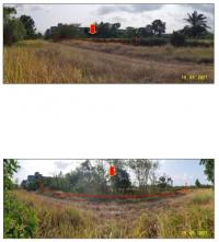 https://xn--www-pkl4a5c5d8af2h9bbc3a67a.ohoproperty.com/141238/ธนาคารกรุงไทย/ขายที่ดินเปล่า/บ้านนา/เมืองชุมพร/ชุมพร/