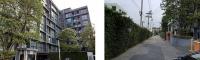 https://xn--www-pkl4a5c5d8af2h9bbc3a67a.ohoproperty.com/175607/ธนาคารกรุงไทย/ขายคอนโดมิเนียม/อาคารชุด/บางนา/บางนา/กรุงเทพมหานคร/