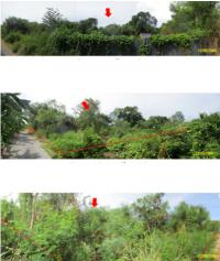 https://xn--www-pkl4a5c5d8af2h9bbc3a67a.ohoproperty.com/189365/ธนาคารกรุงไทย/ขายที่ดินพร้อมสิ่งปลูกสร้าง/ปากแรต/บ้านโป่ง/ราชบุรี/