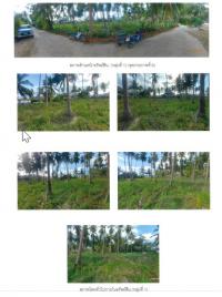 https://xn--www-pkl4a5c5d8af2h9bbc3a67a.ohoproperty.com/201107/ธนาคารกรุงไทย/ขายที่ดินเปล่า/หน้าเมือง/เกาะสมุย/สุราษฎร์ธานี/
