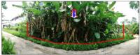 https://xn--www-pkl4a5c5d8af2h9bbc3a67a.ohoproperty.com/210043/ธนาคารออมสิน/ขายที่ดิน/วังตะกอ/หลังสวน/ชุมพร/