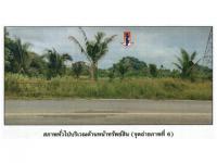 https://xn--www-pkl4a5c5d8af2h9bbc3a67a.ohoproperty.com/210073/ธนาคารออมสิน/ขายที่ดิน/กะปาง/ทุ่งสง/นครศรีธรรมราช/