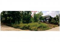 ที่ดินพร้อมสิ่งปลูกสร้างหลุดจำนอง ธ.ธนาคารออมสิน เนินปอ สามง่าม พิจิตร
