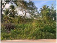 https://xn--www-pkl4a5c5d8af2h9bbc3a67a.ohoproperty.com/210058/ธนาคารออมสิน/ขายที่ดิน/-/วิภาวดี/สุราษฎร์ธานี/