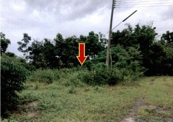 นางั่ว เมืองเพชรบูรณ์ เพชรบูรณ์