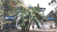 https://xn--www-pkl4a5c5d8af2h9bbc3a67a.ohoproperty.com/220339/ธนาคารอาคารสงเคราะห์/ขายบ้านเดี่ยว/รอบเมือง/เมืองร้อยเอ็ด/ร้อยเอ็ด/