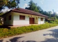 https://xn--www-pkl4a5c5d8af2h9bbc3a67a.ohoproperty.com/124810/ธนาคารอาคารสงเคราะห์/ขายบ้านเดี่ยว/ละอาย/ฉวาง/นครศรีธรรมราช/