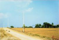 ที่ดินหลุดจำนอง ธ.ธนาคารอาคารสงเคราะห์ เกาะสำโรง เมืองกาญจนบุรี กาญจนบุรี