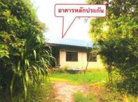 บ้านเดี่ยวหลุดจำนอง ธ.ธนาคารอาคารสงเคราะห์ พานพร้าว ศรีเชียงใหม่ หนองคาย