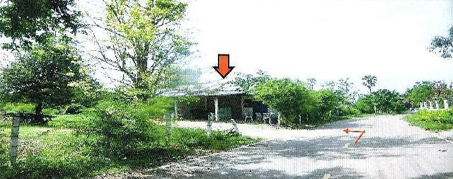 โตนด โนนสูง นครราชสีมา