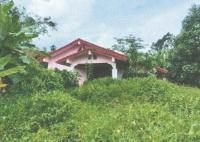 https://xn--www-pkl4a5c5d8af2h9bbc3a67a.ohoproperty.com/171603/ธนาคารอาคารสงเคราะห์/ขายบ้านเดี่ยว/ช้างกลาง/ฉวาง/นครศรีธรรมราช/