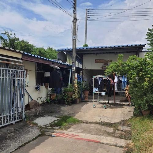 บึงพระ เมืองพิษณุโลก พิษณุโลก