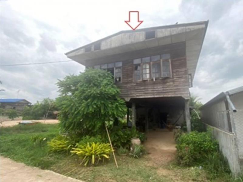 สงเปลือย นามน กาฬสินธุ์