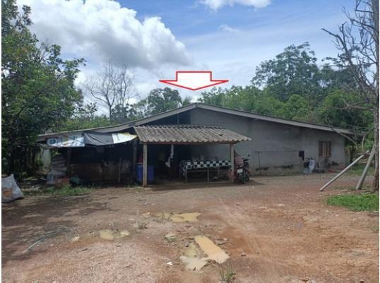 ในควน ย่านตาขาว ตรัง