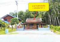 https://xn--www-pkl4a5c5d8af2h9bbc3a67a.ohoproperty.com/217111/ธนาคารอาคารสงเคราะห์/ขายบ้านเดี่ยว/หลักช้าง//นครศรีธรรมราช/