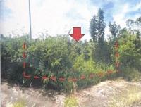 ที่ดินหลุดจำนอง ธ.ธนาคารอาคารสงเคราะห์ แม่สอย จอมทอง เชียงใหม่