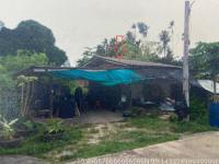 https://xn--www-pkl4a5c5d8af2h9bbc3a67a.ohoproperty.com/219939/ธนาคารอาคารสงเคราะห์/ขายบ้านเดี่ยว/วังไผ่/เมืองชุมพร/ชุมพร/