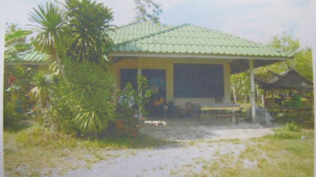 นาไม้ไผ่ ทุ่งสง นครศรีธรรมราช