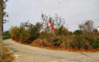 https://xn--www-pkl4a5c5d8af2h9bbc3a67a.ohoproperty.com/182534/ธนาคารกสิกรไทย/ขายที่ดินว่างเปล่า/บ้านกลาง/สันป่าตอง/เชียงใหม่/