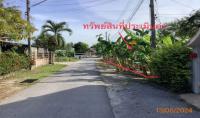 https://xn--www-pkl4a5c5d8af2h9bbc3a67a.ohoproperty.com/204916/ธนาคารกสิกรไทย/ขายที่ดินว่างเปล่า/โพธิ์เสด็จ/เมืองนครศรีธรรมราช/นครศรีธรรมราช/