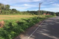 https://xn--www-pkl4a5c5d8af2h9bbc3a67a.ohoproperty.com/209415/ธนาคารกสิกรไทย/ขายที่ดินว่างเปล่า/ถ้ำใหญ่/ทุ่งสง/นครศรีธรรมราช/