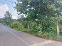 https://xn--www-pkl4a5c5d8af2h9bbc3a67a.ohoproperty.com/219748/ธนาคารกสิกรไทย/ขายที่ดินว่างเปล่า/หนองแวง/เมืองร้อยเอ็ด/ร้อยเอ็ด/