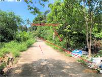 https://xn--www-pkl4a5c5d8af2h9bbc3a67a.ohoproperty.com/157153/ธนาคารกสิกรไทย/ขายที่ดินว่างเปล่า/ลิปะน้อย/เกาะสมุย/สุราษฎร์ธานี/