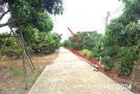 https://xn--www-pkl4a5c5d8af2h9bbc3a67a.ohoproperty.com/156003/ธนาคารกสิกรไทย/ขายที่ดินว่างเปล่า/หนองล่อง/เวียงหนองล่อง/ลำพูน/