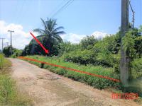 https://xn--www-pkl4a5c5d8af2h9bbc3a67a.ohoproperty.com/192102/ธนาคารกสิกรไทย/ขายที่ดินว่างเปล่า/หนองยวง/เวียงหนองล่อง/ลำพูน/
