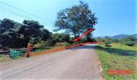 https://xn--www-pkl4a5c5d8af2h9bbc3a67a.ohoproperty.com/192104/ธนาคารกสิกรไทย/ขายที่ดินว่างเปล่า/ป่าไผ่/ลี้/ลำพูน/