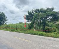 https://xn--www-pkl4a5c5d8af2h9bbc3a67a.ohoproperty.com/192105/ธนาคารกสิกรไทย/ขายที่ดินว่างเปล่า/งิ้วราย/ตะพานหิน/พิจิตร/
