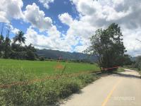 ที่ดินว่างเปล่าหลุดจำนอง ธ.ธนาคารกสิกรไทย ศรีดงเย็น ไชยปราการ เชียงใหม่