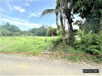 https://xn--www-pkl4a5c5d8af2h9bbc3a67a.ohoproperty.com/199773/ธนาคารกสิกรไทย/ขายที่ดินว่างเปล่า/หนองบัว/โกสุมพิสัย/มหาสารคาม/
