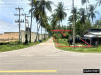 https://xn--www-pkl4a5c5d8af2h9bbc3a67a.ohoproperty.com/205122/ธนาคารกสิกรไทย/ขายที่ดินว่างเปล่า/บางมะพร้าว/หลังสวน/ชุมพร/