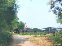 https://xn--www-pkl4a5c5d8af2h9bbc3a67a.ohoproperty.com/205049/ธนาคารกสิกรไทย/ขายที่ดินว่างเปล่า/เอกราช/ป่าโมก/อ่างทอง/