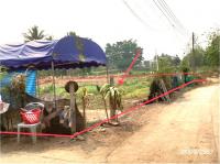 ที่ดินว่างเปล่าหลุดจำนอง ธ.ธนาคารกสิกรไทย แม่คะ ฝาง เชียงใหม่