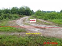 https://xn--www-pkl4a5c5d8af2h9bbc3a67a.ohoproperty.com/206691/ธนาคารกสิกรไทย/ขายที่ดินว่างเปล่า/บ้านกลาง/สันป่าตอง/เชียงใหม่/