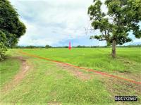 https://xn--www-pkl4a5c5d8af2h9bbc3a67a.ohoproperty.com/212491/ธนาคารกสิกรไทย/ขายที่ดินว่างเปล่า/หัวขวาง/โกสุมพิสัย/มหาสารคาม/