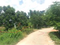 https://xn--www-pkl4a5c5d8af2h9bbc3a67a.ohoproperty.com/206910/ธนาคารกสิกรไทย/ขายที่ดินว่างเปล่า/แม่คะ/ฝาง/เชียงใหม่/