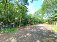 https://xn--www-pkl4a5c5d8af2h9bbc3a67a.ohoproperty.com/206077/ธนาคารกสิกรไทย/ขายที่ดินว่างเปล่า/รังสิต/ธัญบุรี/ปทุมธานี/