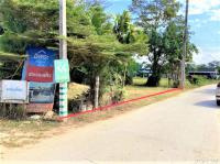 https://xn--www-pkl4a5c5d8af2h9bbc3a67a.ohoproperty.com/212855/ธนาคารกสิกรไทย/ขายที่ดินว่างเปล่า/เวียง/ฝาง/เชียงใหม่/